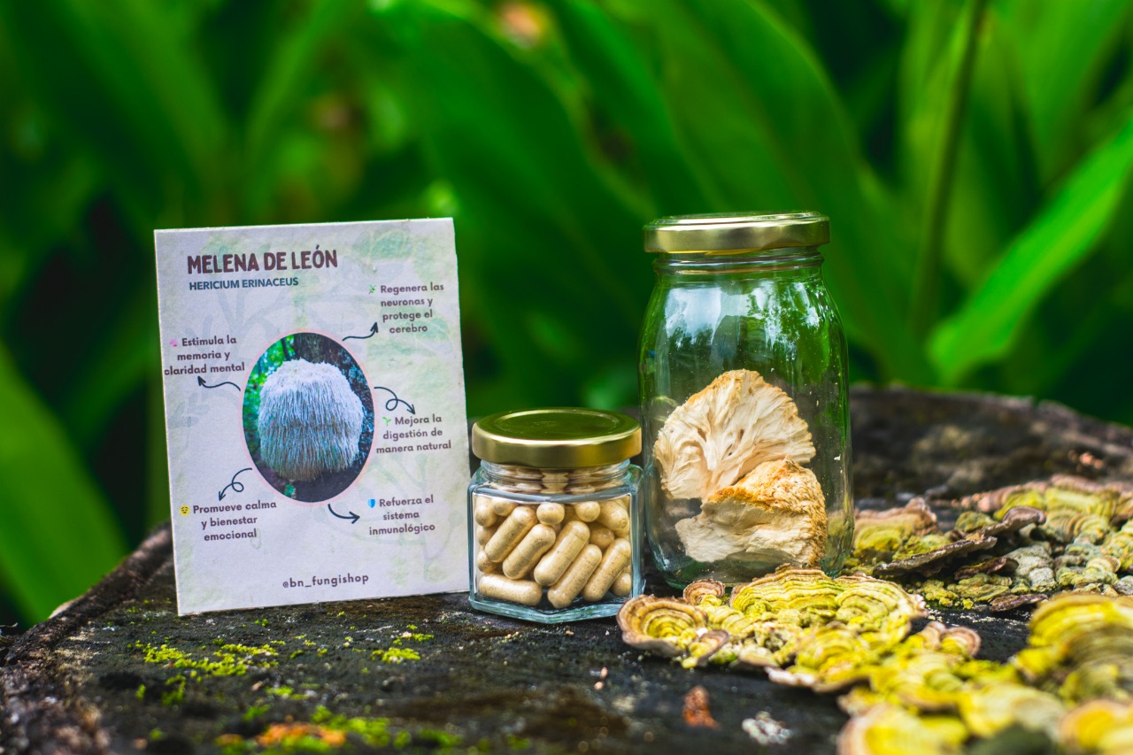 Micro Melena de León